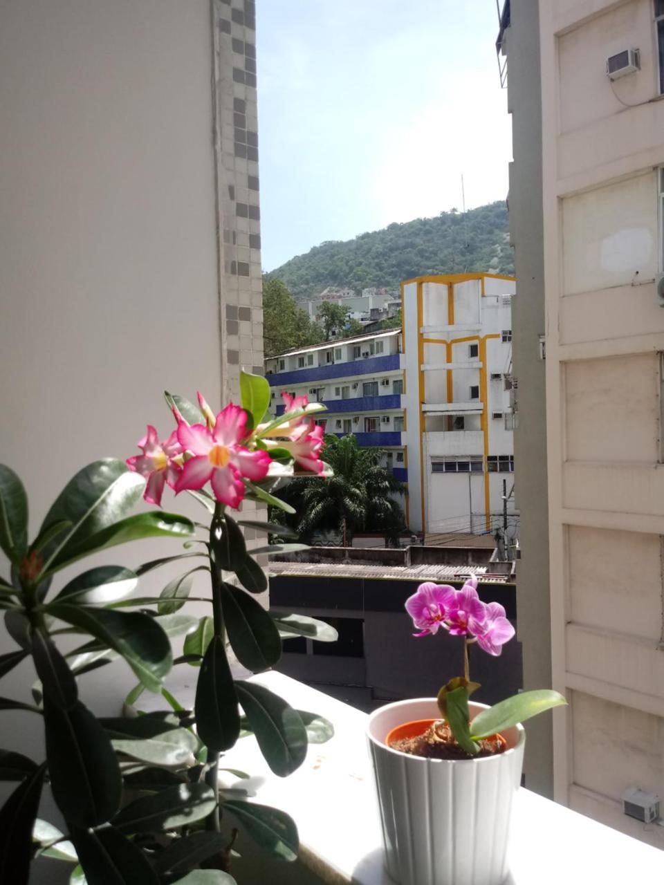 Apartamento Belo Apt De Quarto E Sala Em Ipanema