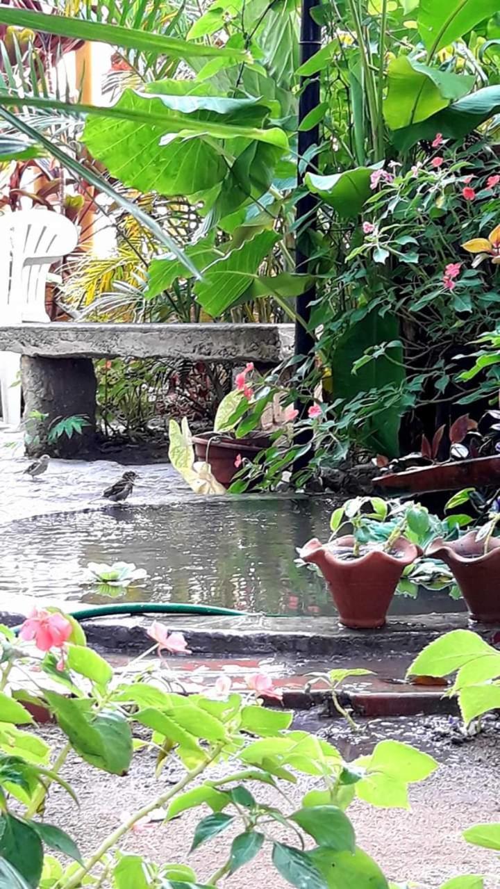 Casa de hóspedes Brumar Rio de Janeiro