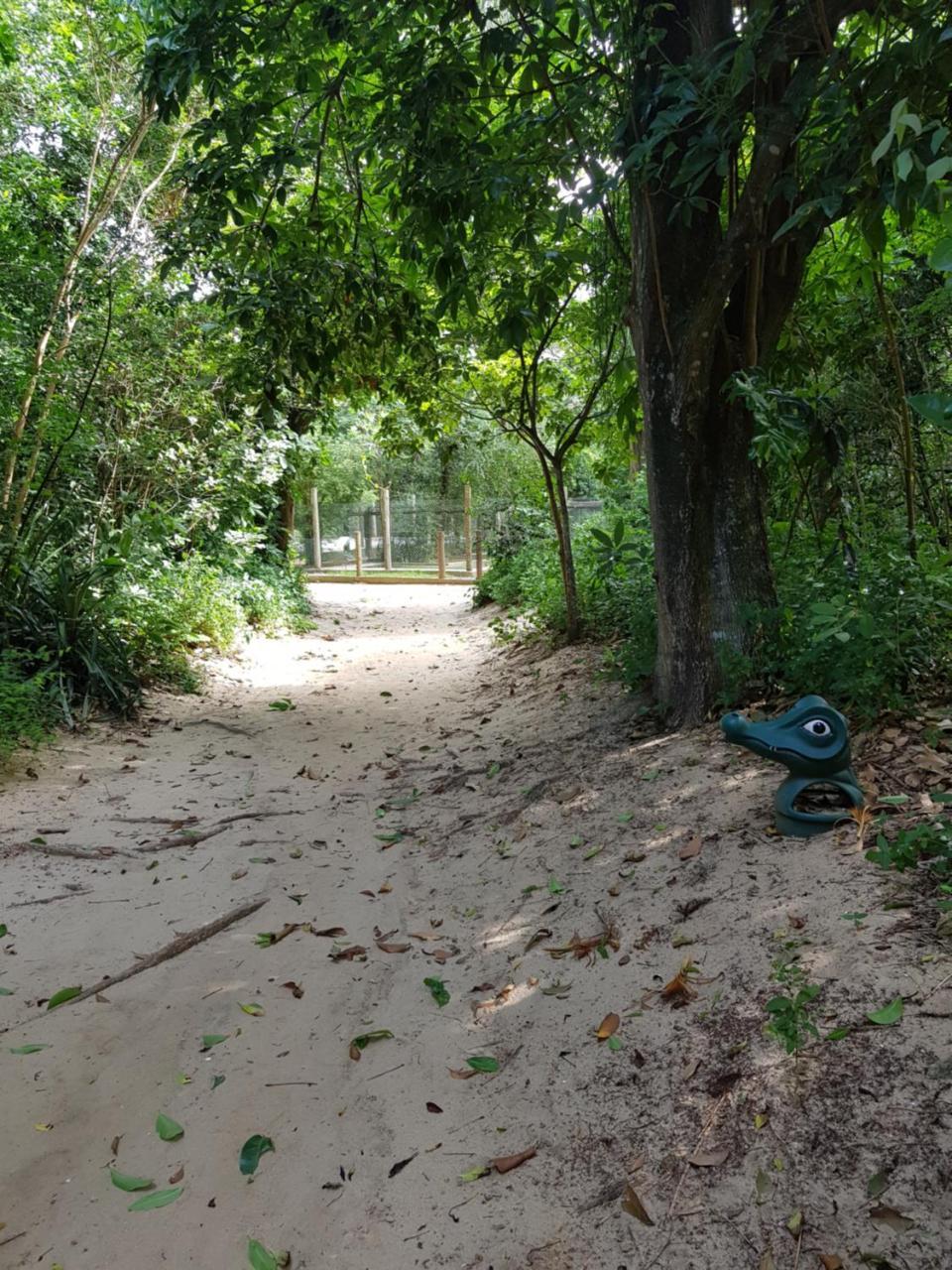 Recreio - Perto Da Praia - Com Internet * Rio de Janeiro