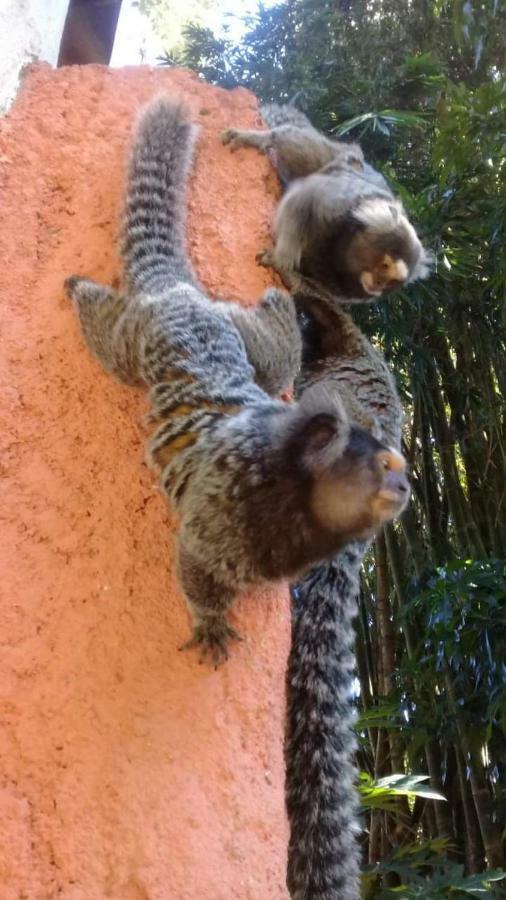 Do Tucano Alojamento de Acomodação e Pequeno-almoço *