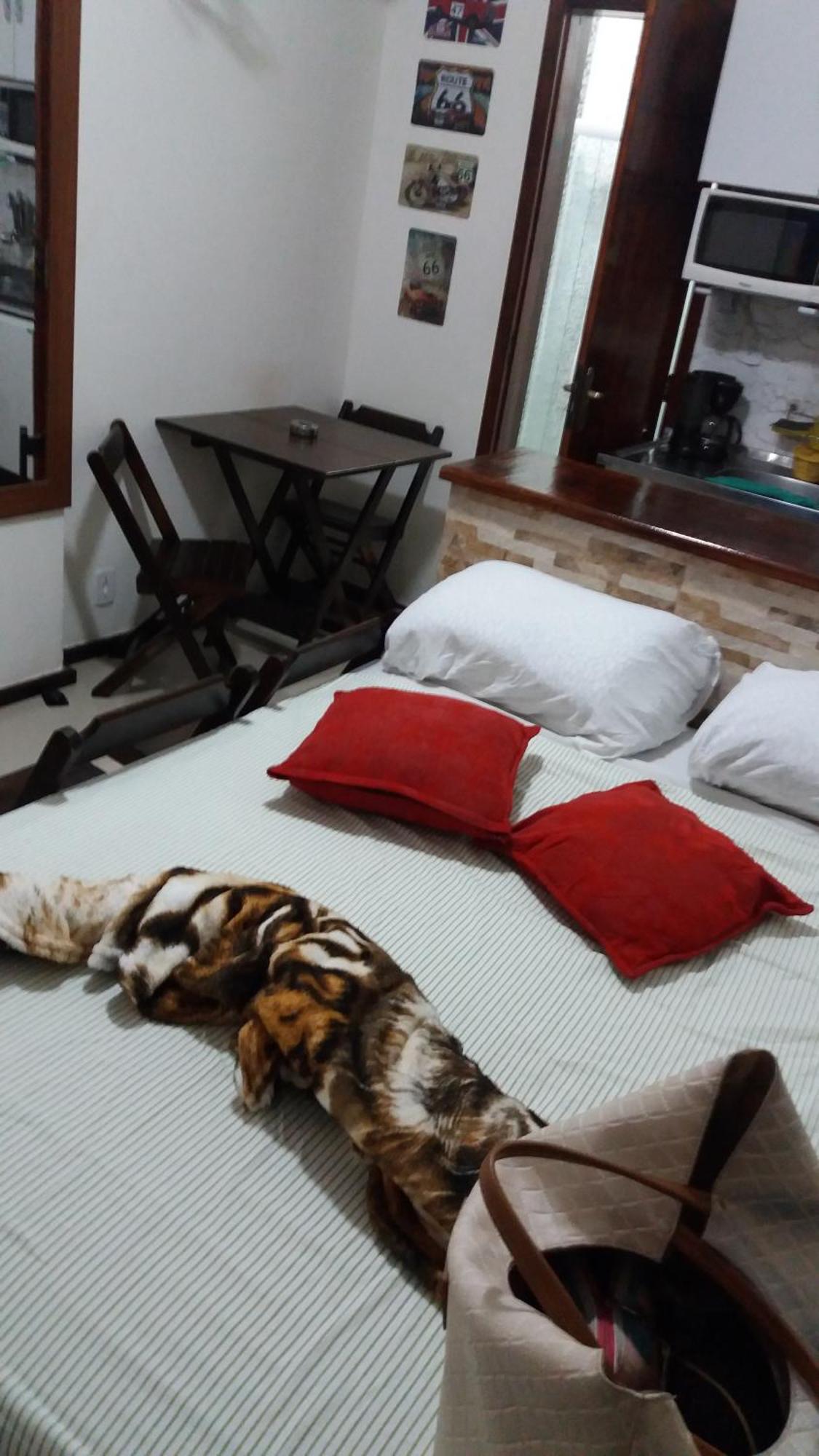 Apartamento Conjugadinho