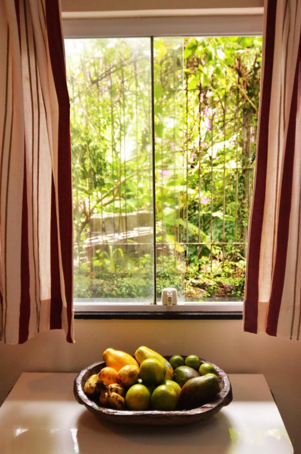 Cozy Tiny In Joatinga Apartamento *