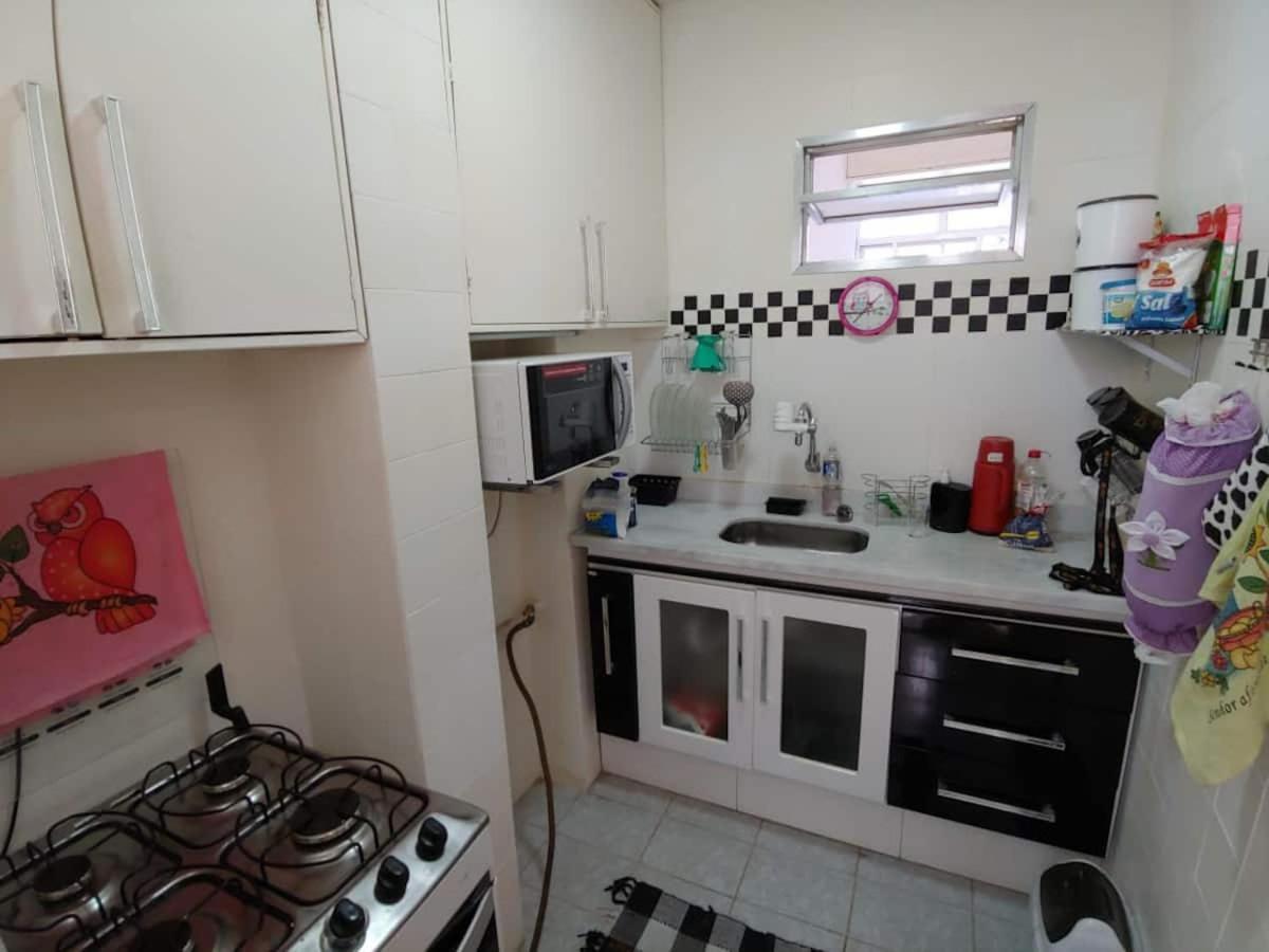 Apartamento Inteiro Entre Gloria, Catete E Do Flamengo,ao Lado Da Lapa- Zona Sul Rio De Janeiro-rj, Banh, Coz, Sala E Apartment *