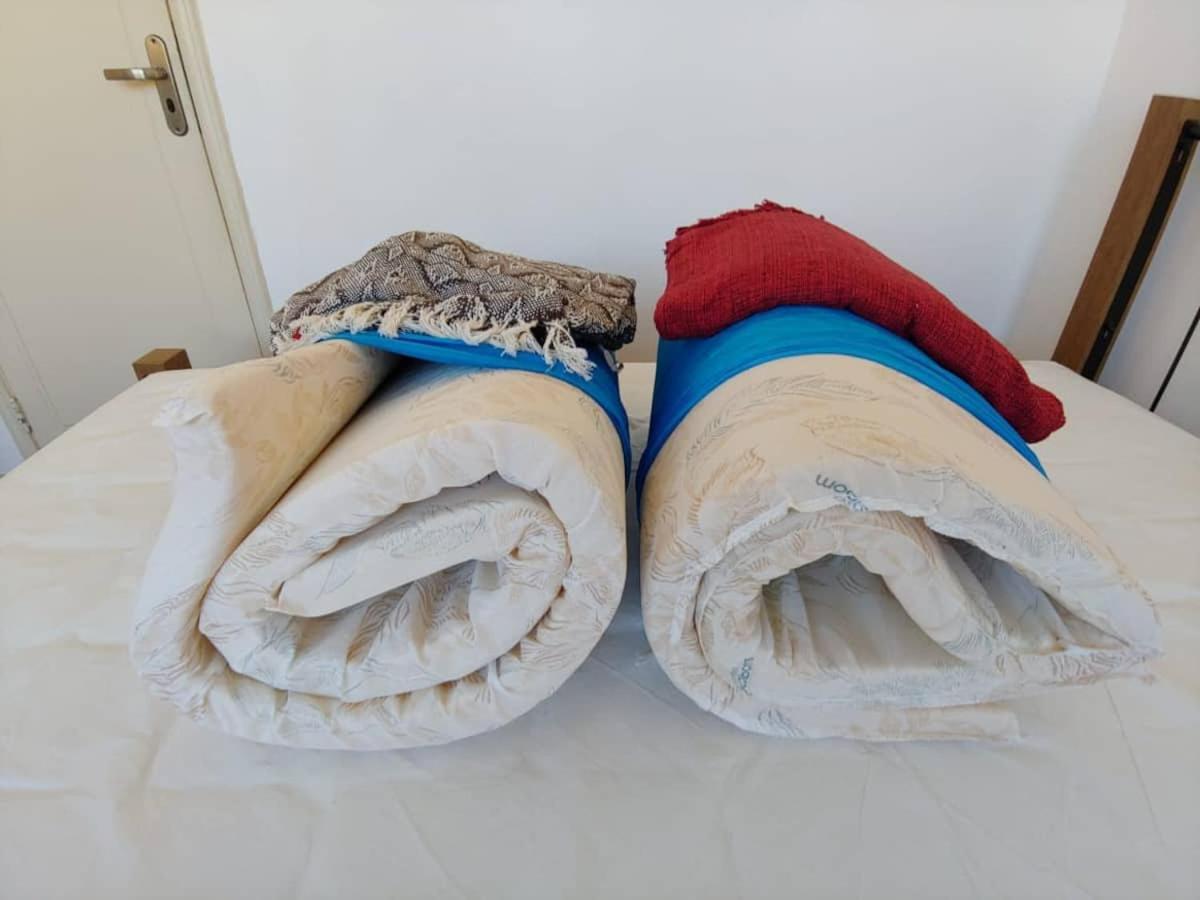 Apartamento Inteiro Entre Gloria, Catete E Do Flamengo,ao Lado Da Lapa- Zona Sul Rio De Janeiro-rj, Banh, Coz, Sala E Apartment
