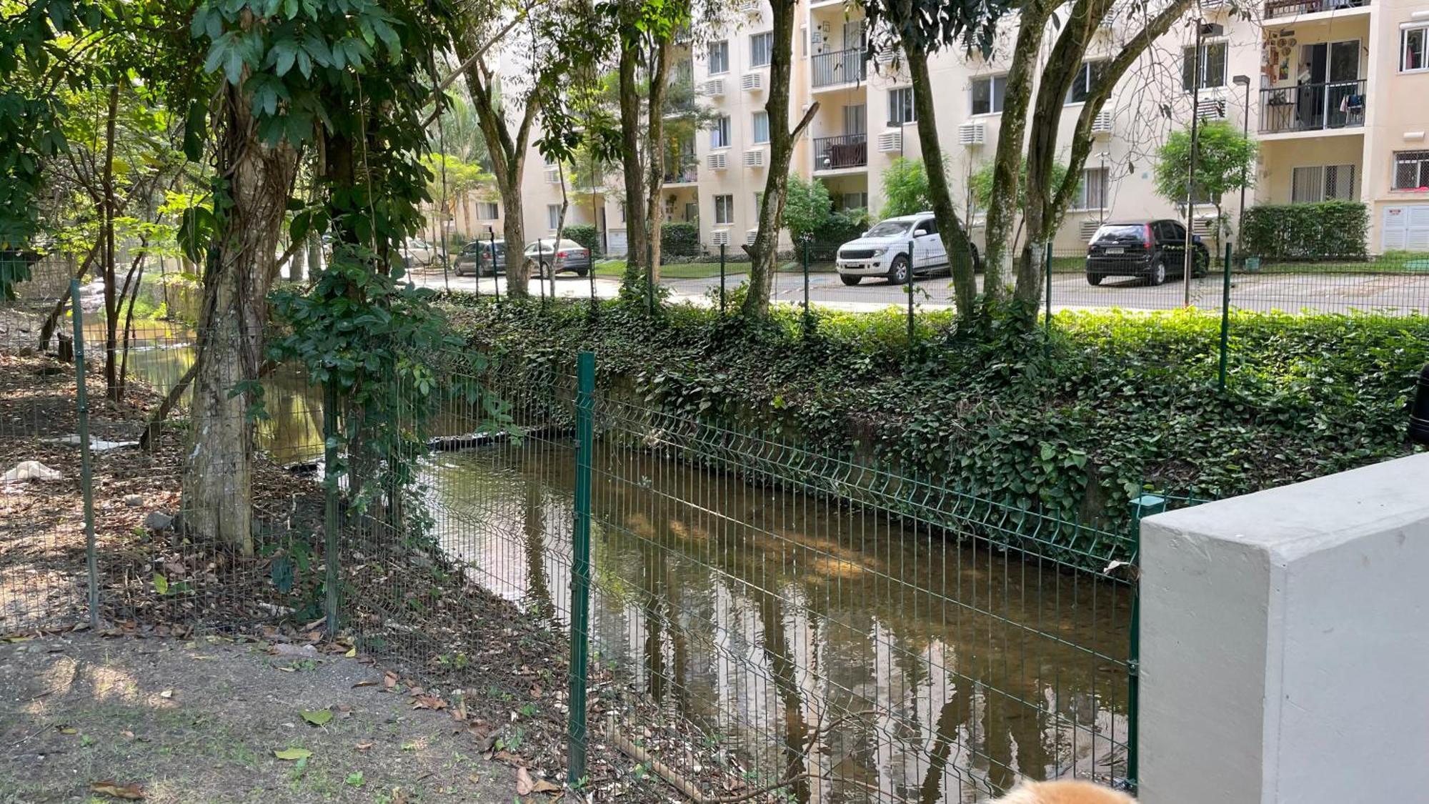 Aconchego Carioca. Seu Lar Longe De Casa Rio de Janeiro
