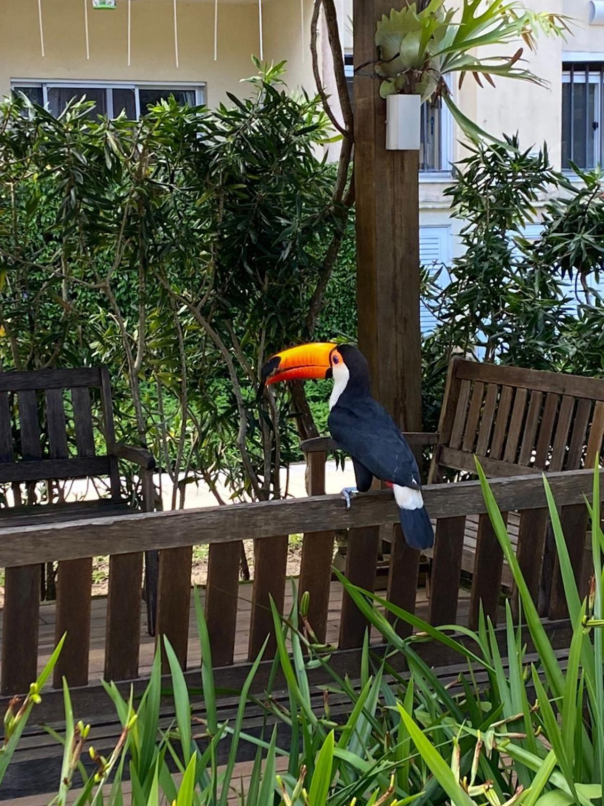Aconchego Carioca. Seu Lar Longe De Casa Apartamento