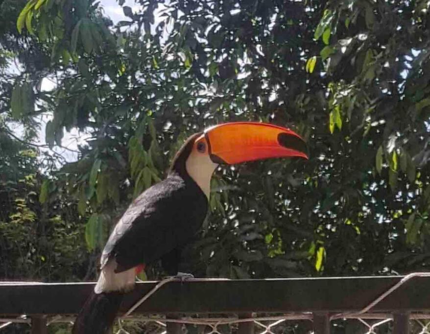 Aconchego Carioca. Seu Lar Longe De Casa * Rio de Janeiro
