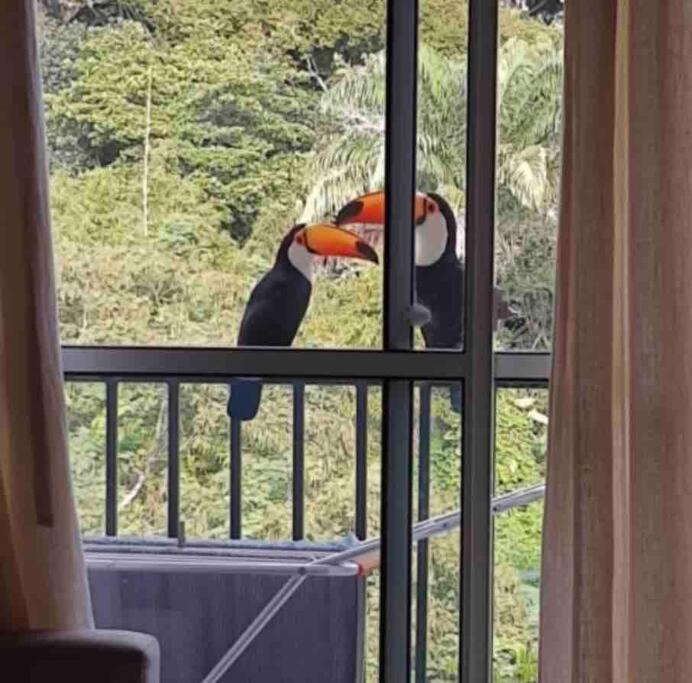 Aconchego Carioca. Seu Lar Longe De Casa Apartamento Rio de Janeiro