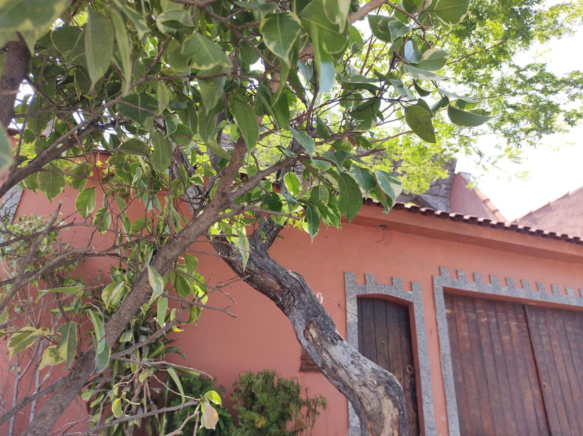 Casa Inteira Garagem E Internet Gratis Prox Recreio Rio de Janeiro