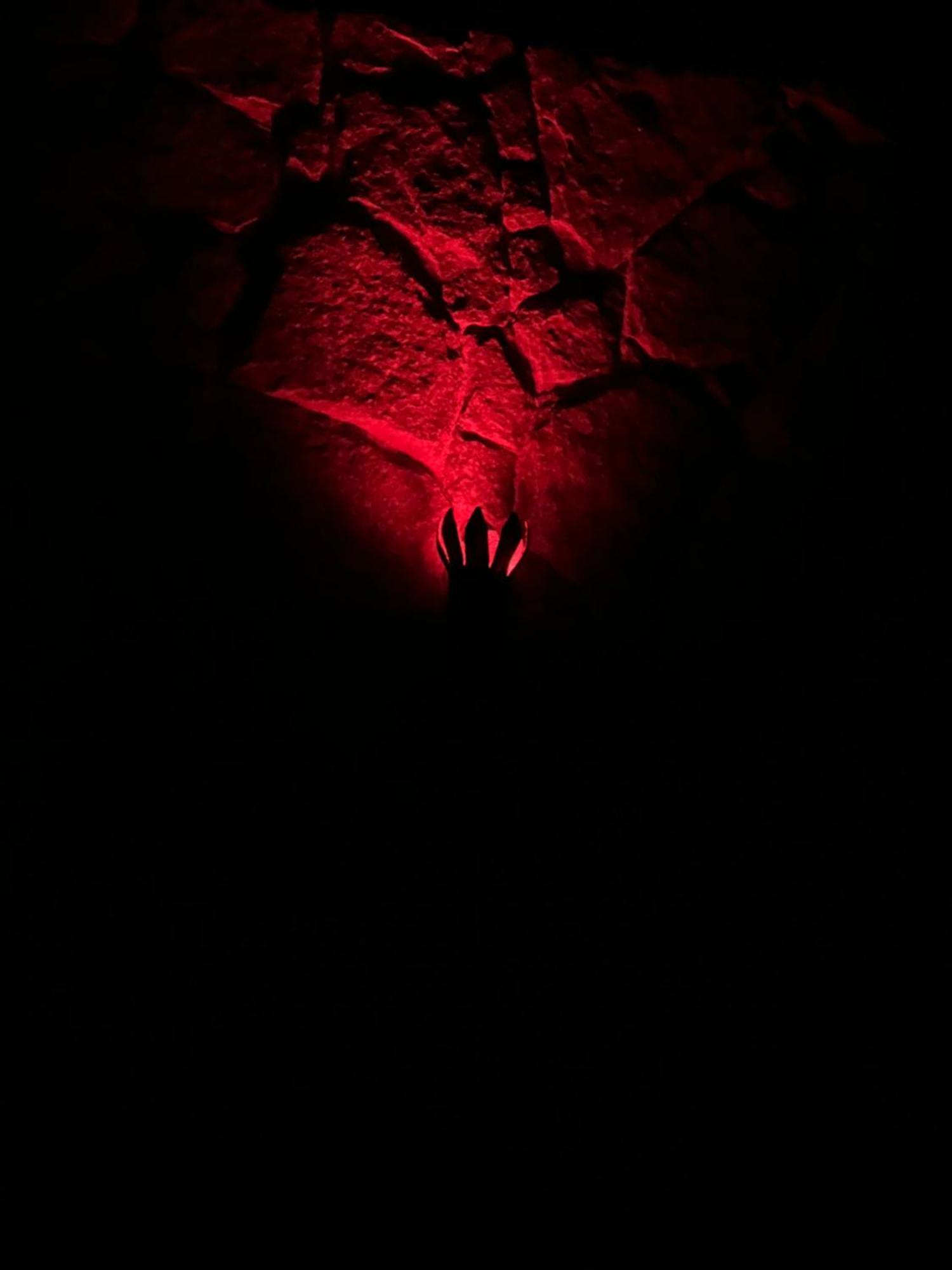 Hostel Castle Of Vibes -