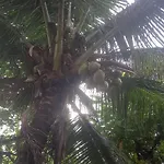 Casa inteira Guaratiba Campo Grande Rio de Janeiro descanso e lazer