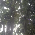 Casa inteira Guaratiba Campo Grande Rio de Janeiro descanso e lazer