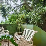 Casa Verde