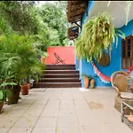 Casa Verde