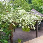 Casa Pedra Bonita