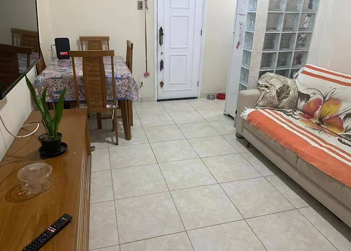 Apartamento Aconchegante Em Botafogo
