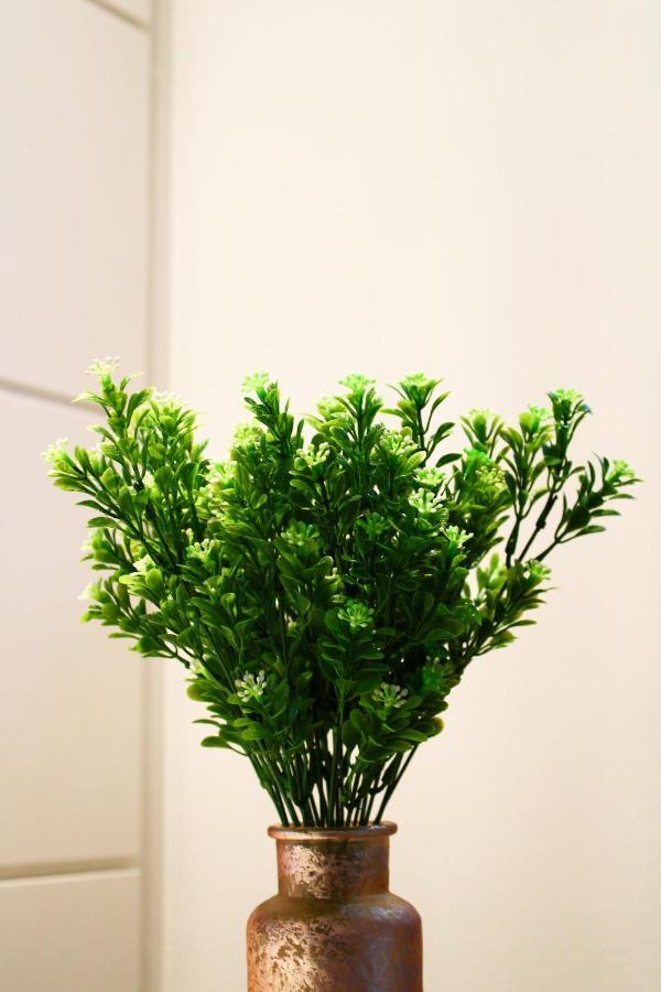 Copa Green