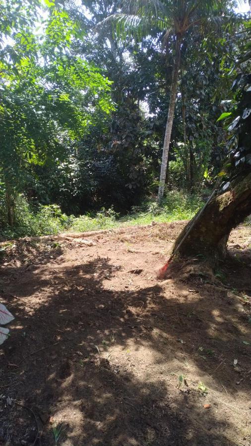 Camping Vida Longa Campsite *