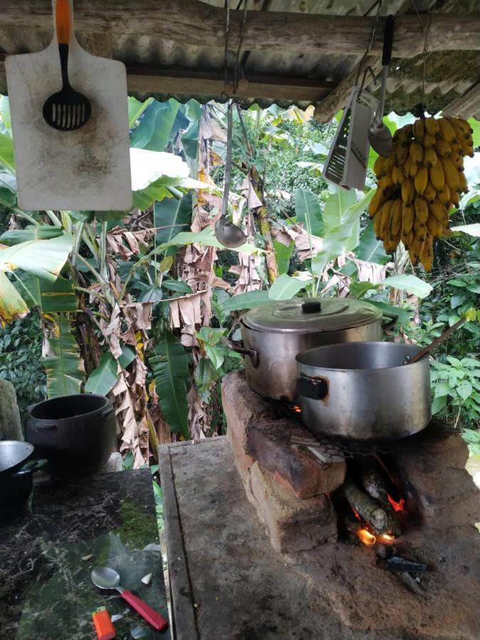 Campsite Camping Vida Longa *