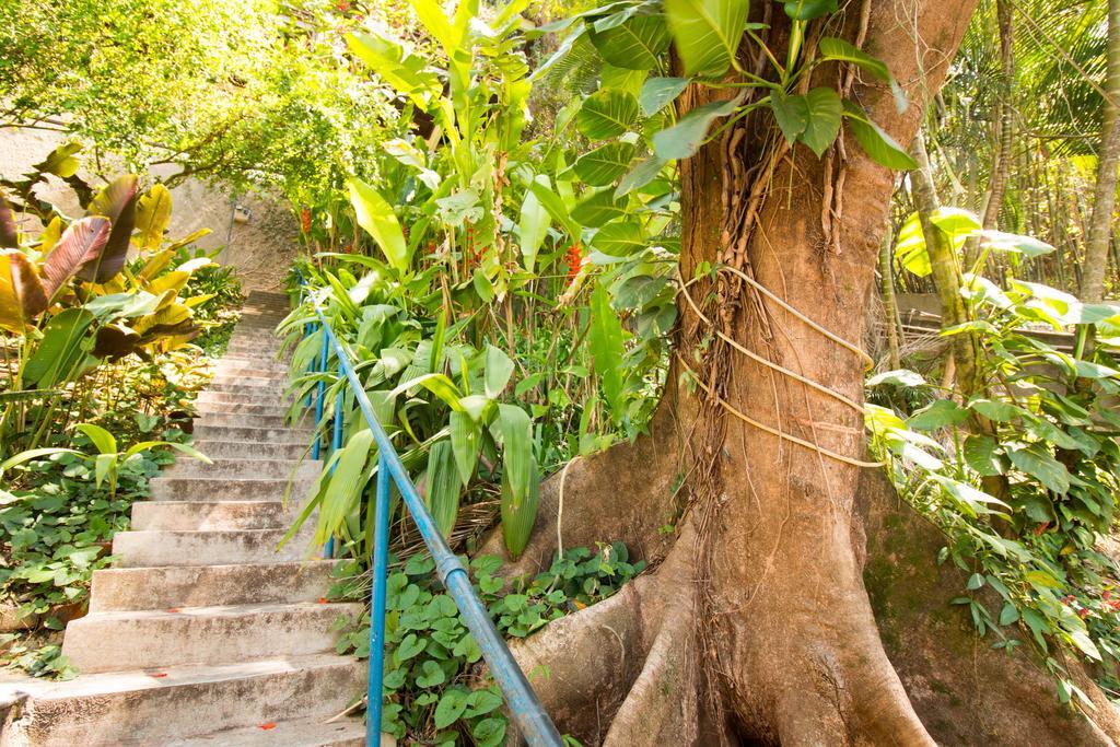 Rio Nature Hostel