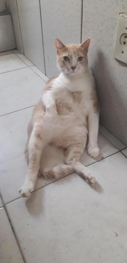 Sapucali Privative * Rio de Janeiro
