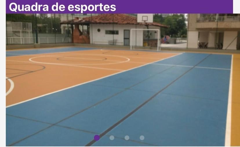 ótimo Apartamento 2 Qtos Barra Da Tijuca Vista Mar