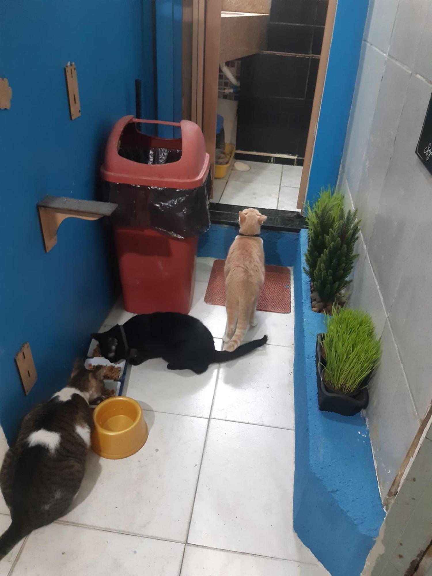 Sapucali Privative Albergue Rio de Janeiro