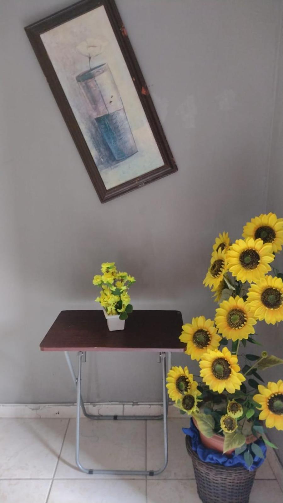 Olympios House * Rio de Janeiro
