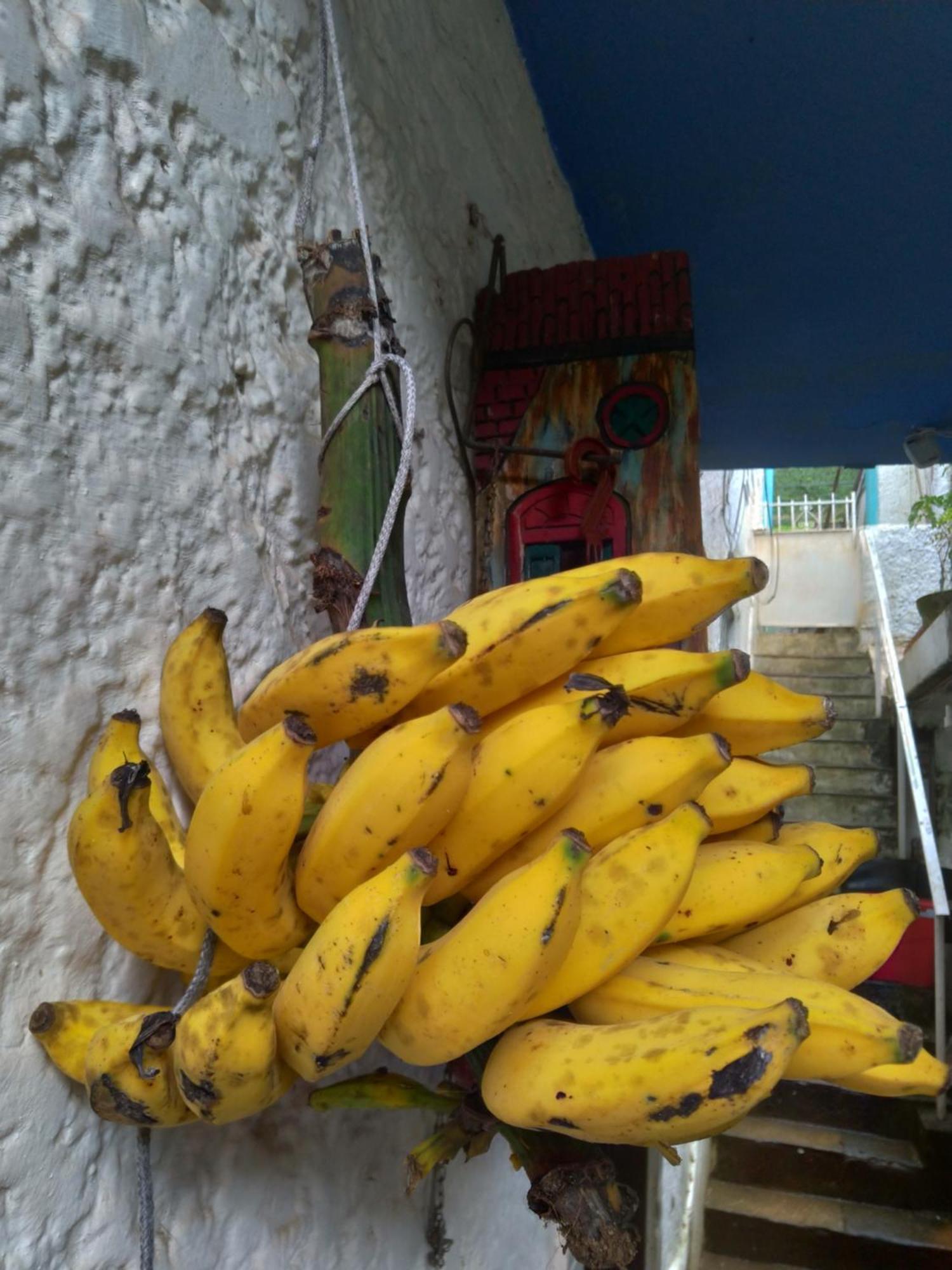 Rio National Park H&c Bed & Breakfast Rio de Janeiro