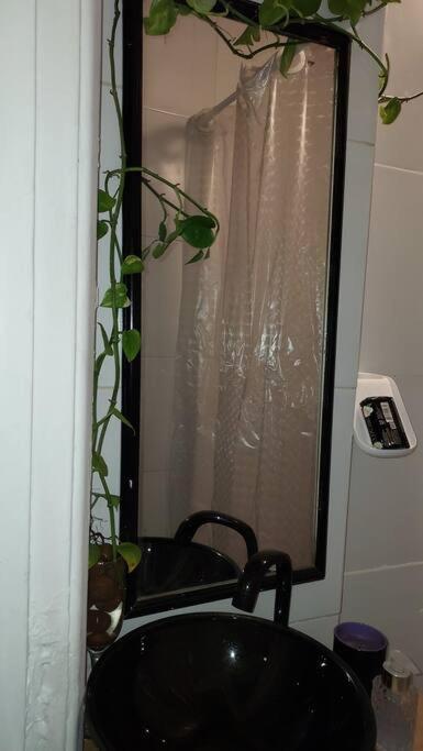 Apartamento Atelie Quase Na Lua