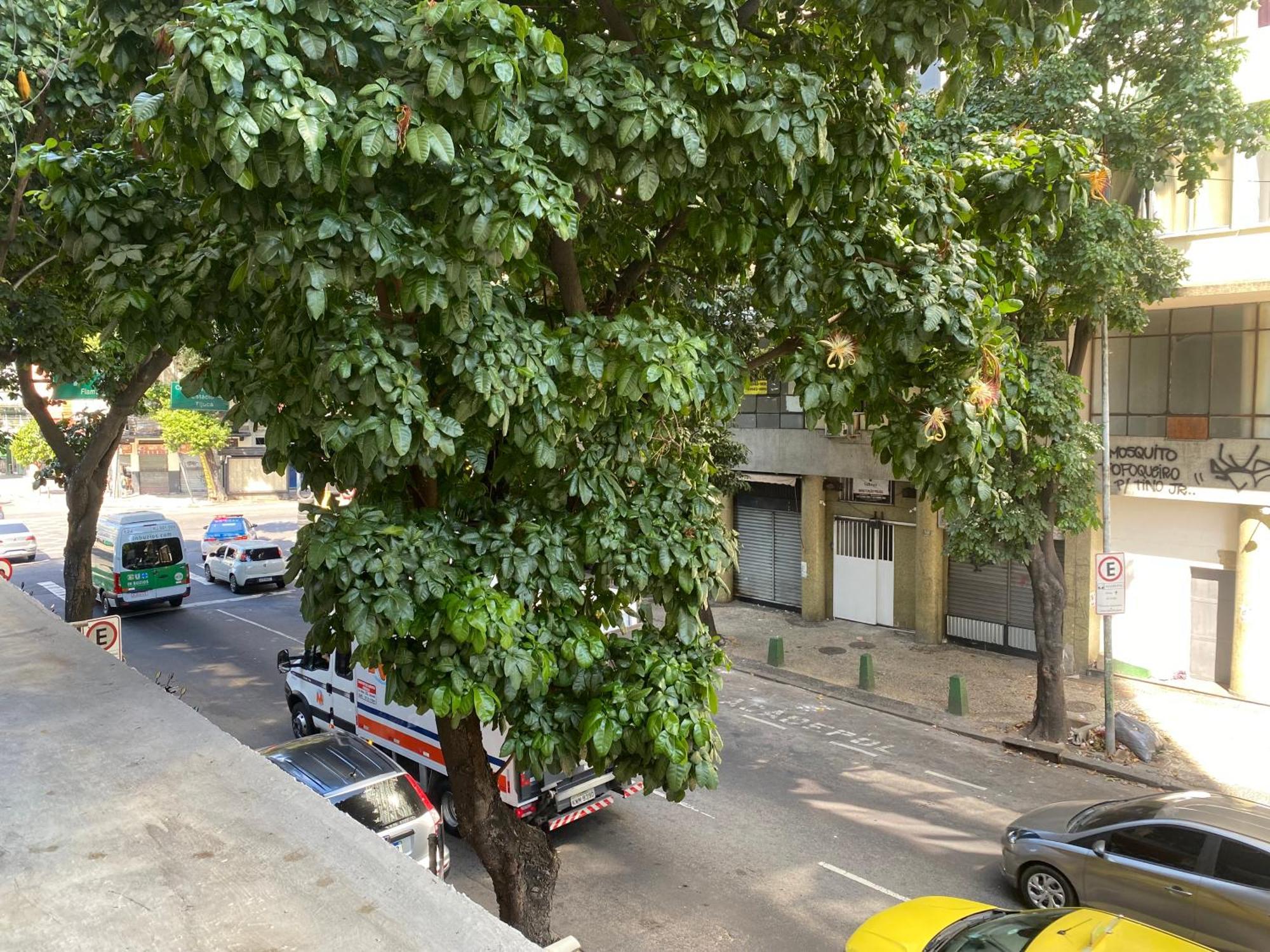 Centro A Mts De Sambodromo Y Lapa Apartamento