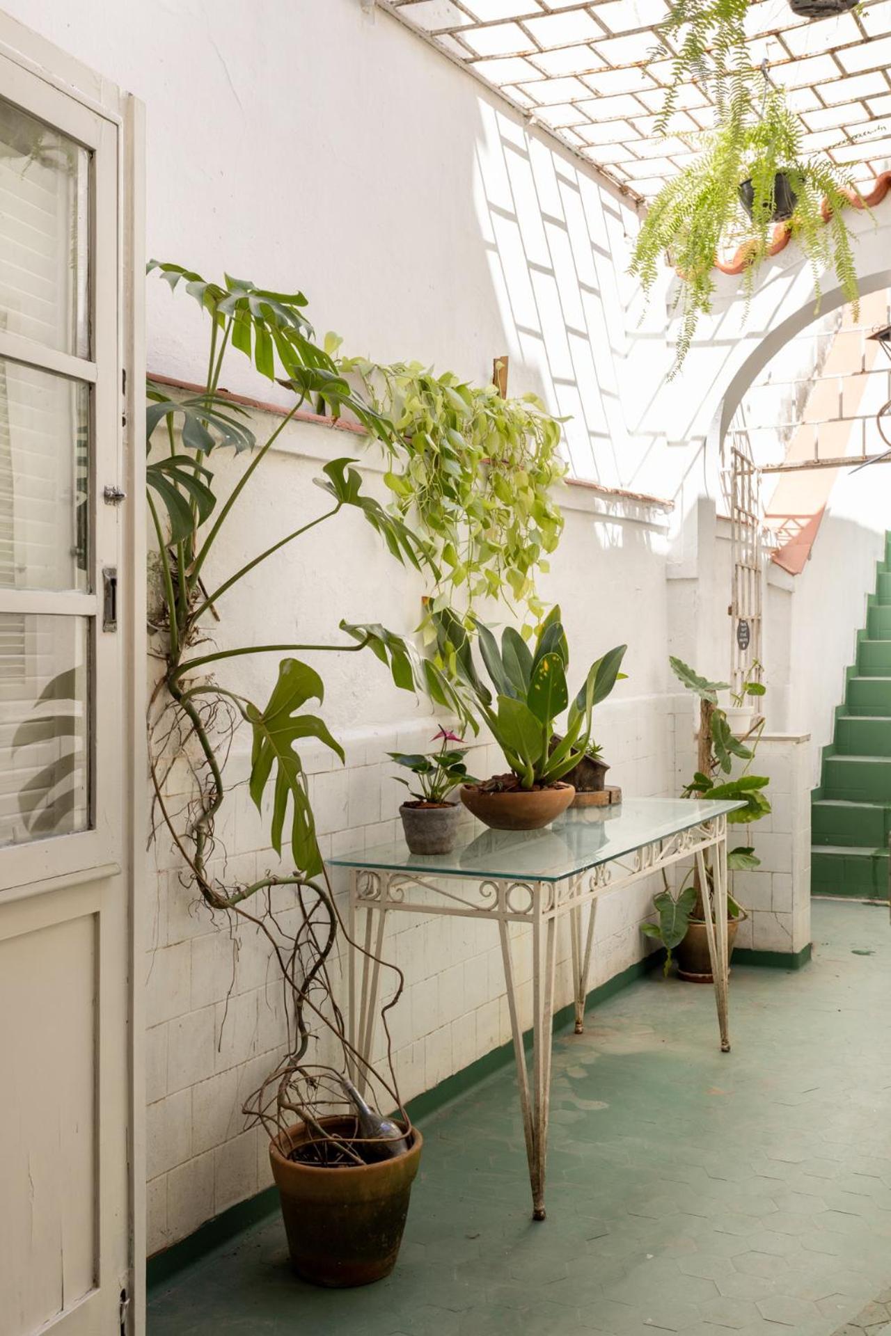 Albergue Chez Zany Boutique - Santa Teresa