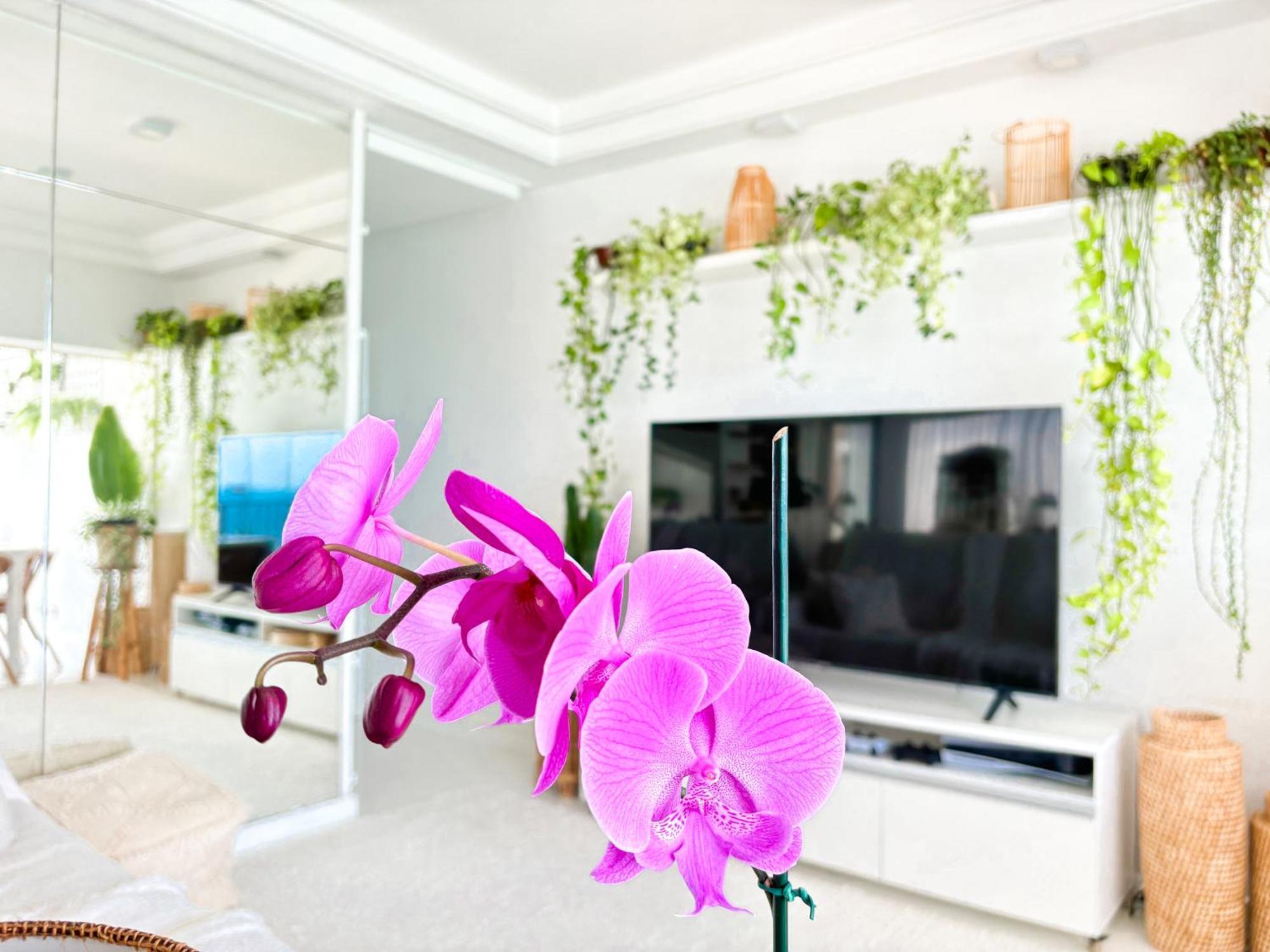 Your Place In Rio Apartment