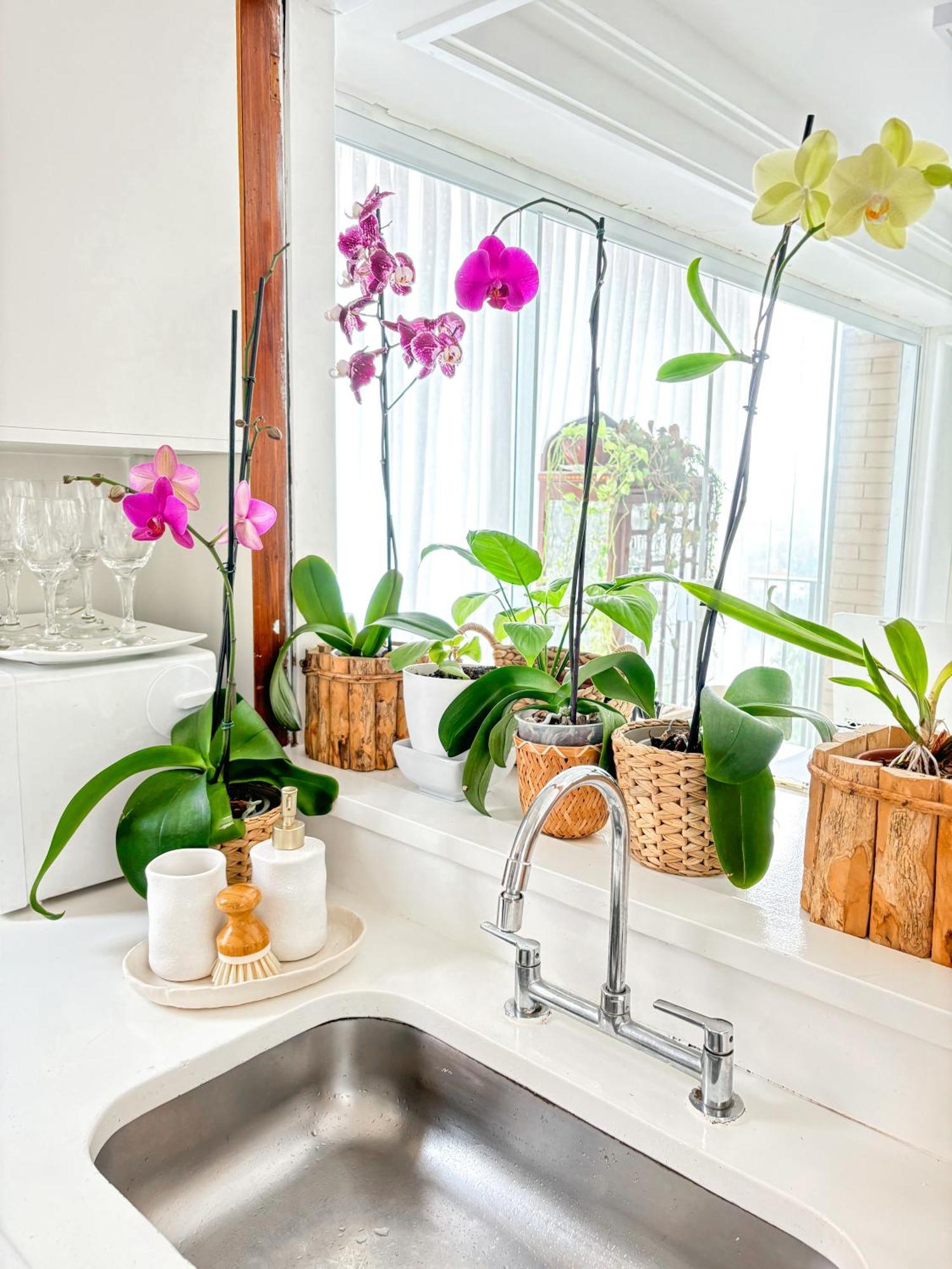 Your Place In Rio Apartment *