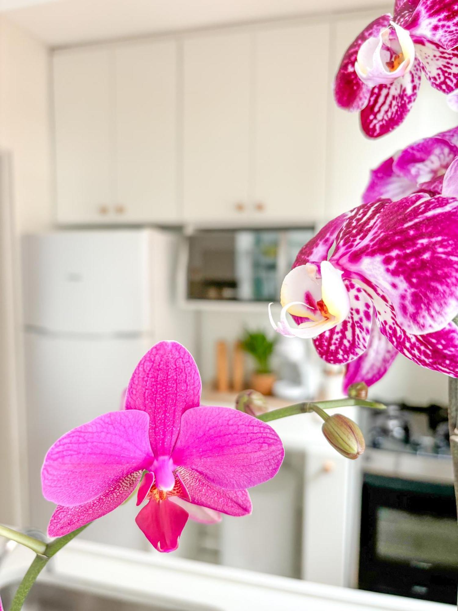 Apartment Your Place In Rio *
