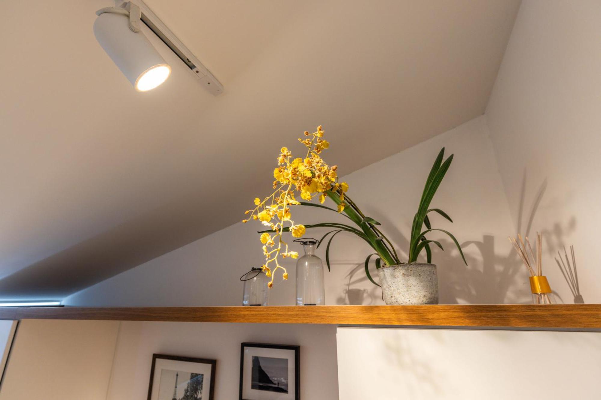 Studio's Monsieur Leblon Apartamento *