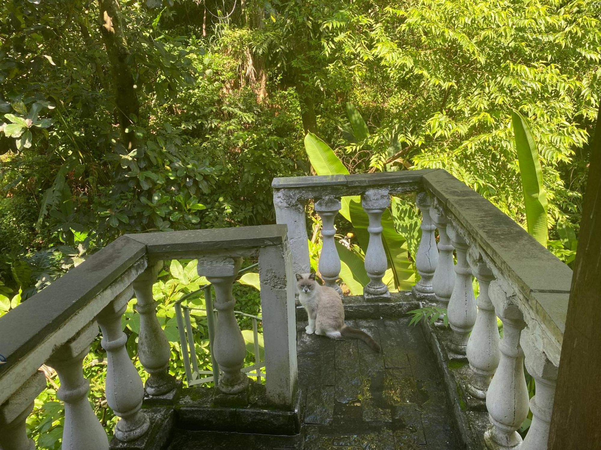 Apartamento Rio Natureza 118