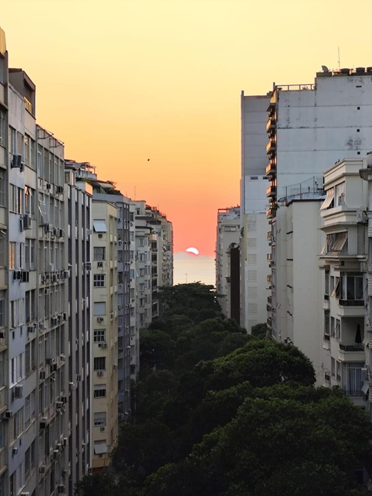 Ape Em Copacabana *