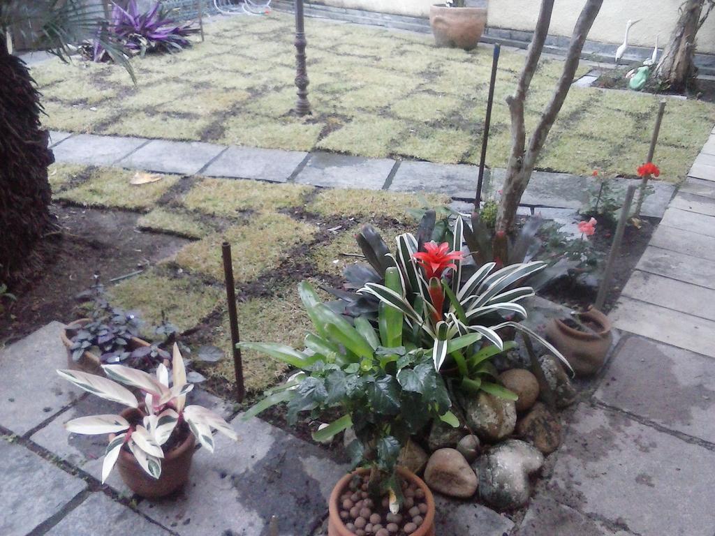 Casa Do Gil Cama E Cafe Bed & Breakfast 3*