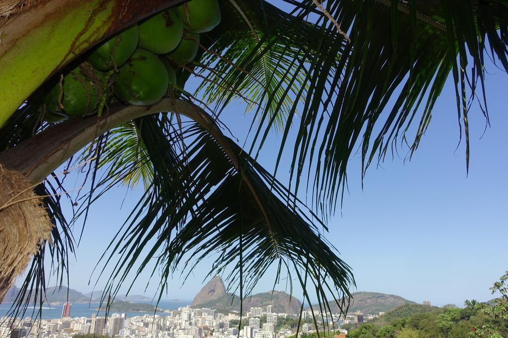 Favelinha * Rio de Janeiro