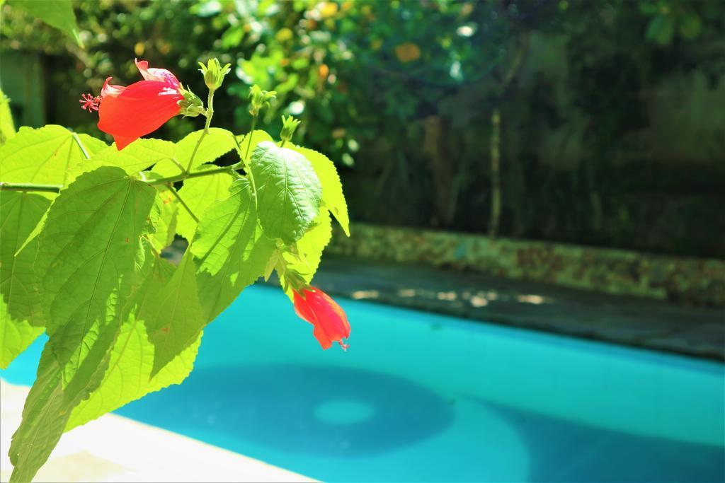 Blue Hill Guest house Rio de Janeiro