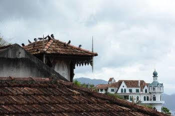 Guest house Teresa 2*
