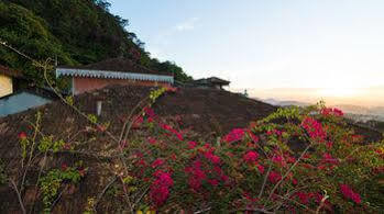 Guest house Teresa 2*